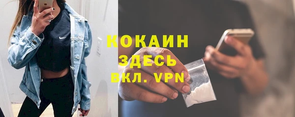 стаф Кукмор