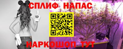 сатива Донской