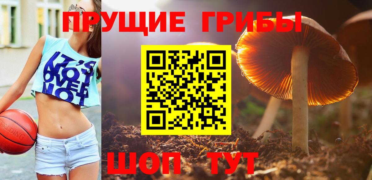 Галлюциногенные грибы GOLDEN TEACHER Миллерово