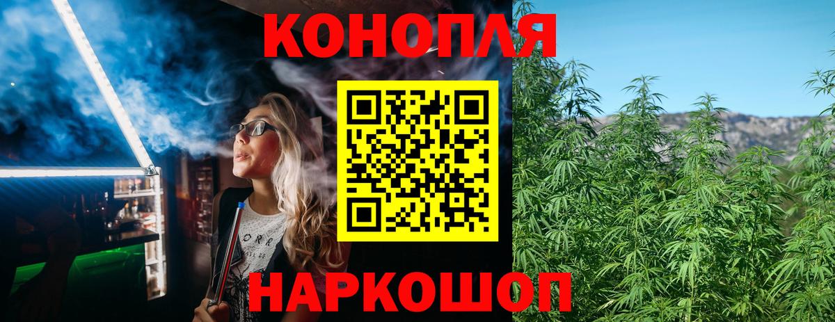 Бошки Шишки сатива  Бошки Шишки семена  Вход с VPN  Канабис THC 21%  Миллерово 